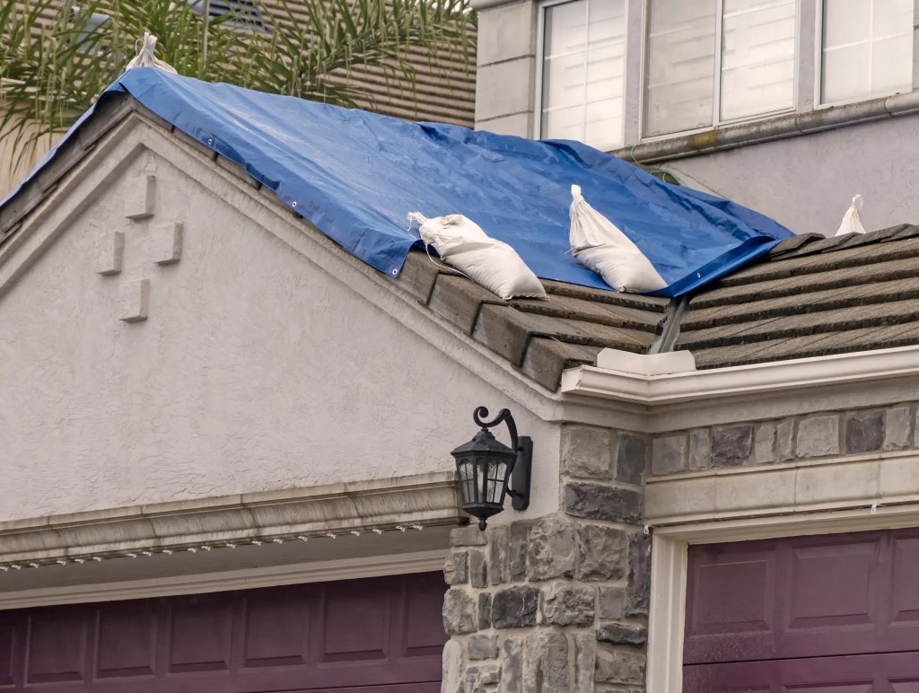 tarp-roof