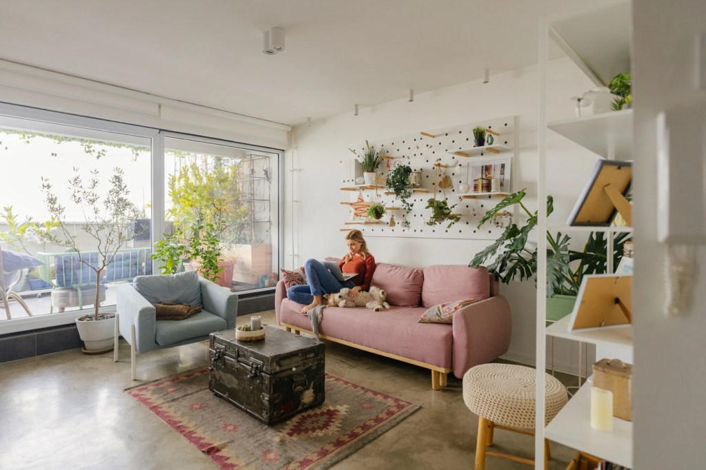 Woman with a laptop and small dog on a pink sofa in a plant-filled living room