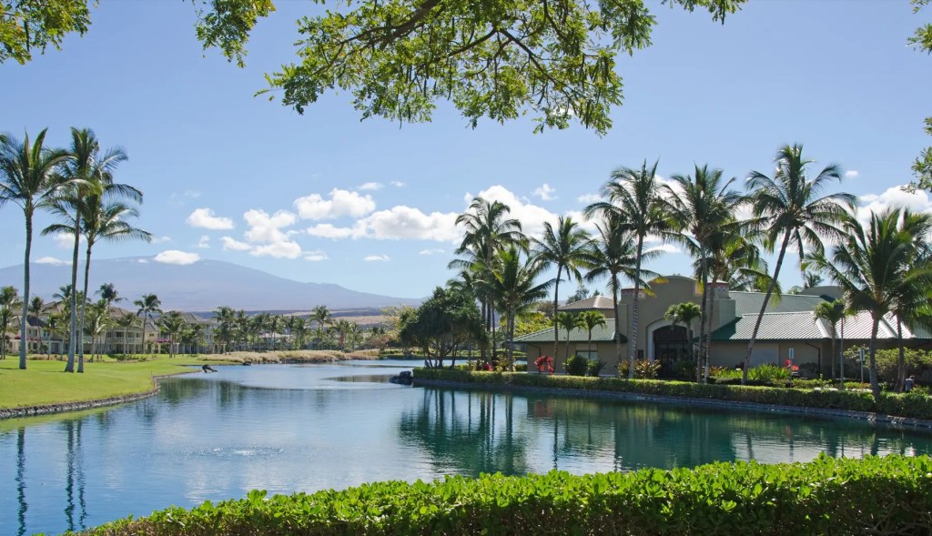 Palm trees and a lagoon beside resort-style homes with a mountain behind
