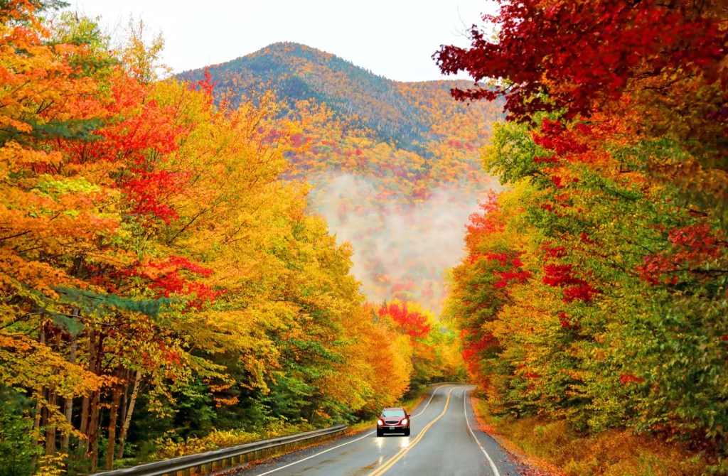 A car on a wet road winding through brilliant autumn foliage below a misty mountain