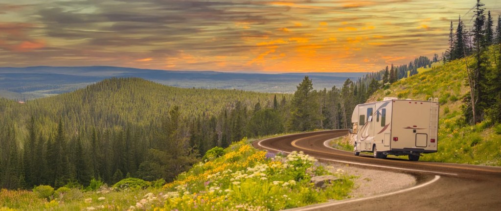 Motorhome driving along a mountain highway at sunset past wildflowers and pine forest